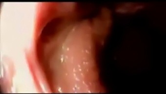 Intense Internal Satisfaction - Continued