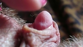 Intense Close-Up Of My Throbbing Clitoris Head In Hardcore Fucking